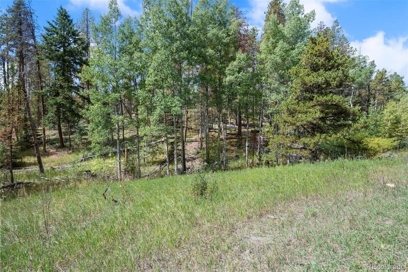 000 Lot 3 Indian Springs Rd, Conifer, CO 80123