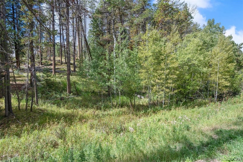 000 Lot 3 Indian Springs Rd, Conifer, CO 80123