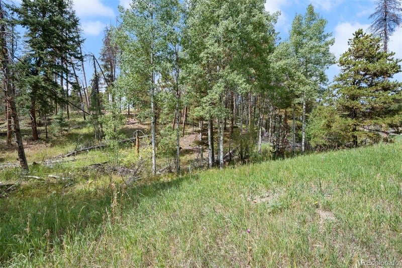000 Lot 3 Indian Springs Rd, Conifer, CO 80123