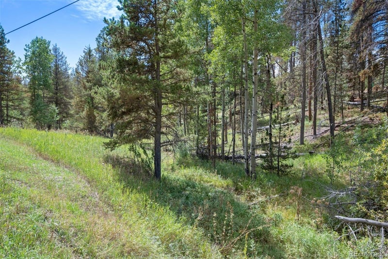 000 Lot 3 Indian Springs Rd, Conifer, CO 80123