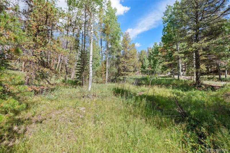 001 Lot 12 Indian Springs Rd, Conifer, CO 80433