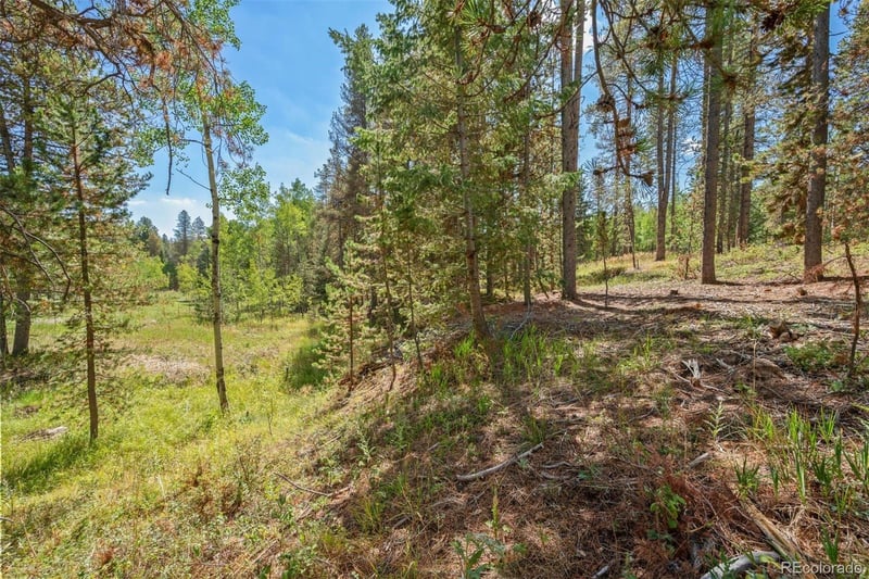 001 Lot 12 Indian Springs Rd, Conifer, CO 80433