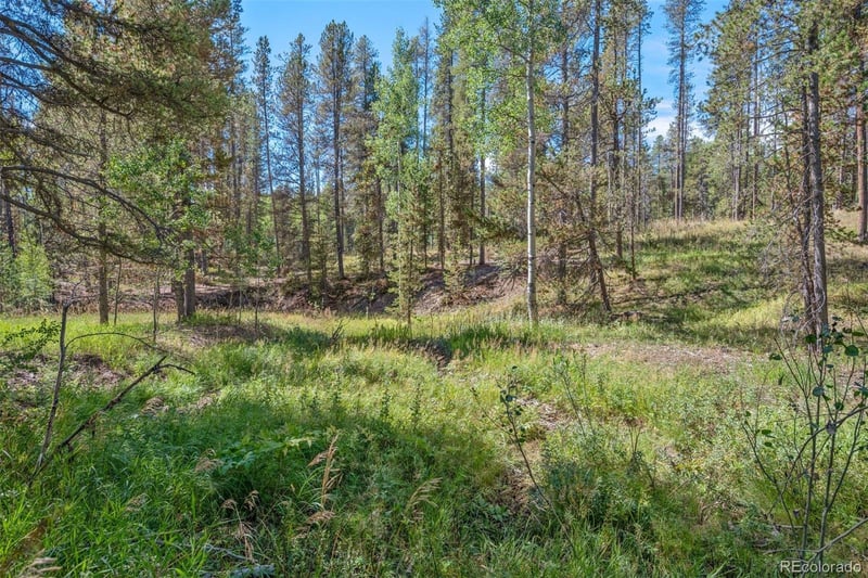 001 Lot 12 Indian Springs Rd, Conifer, CO 80433