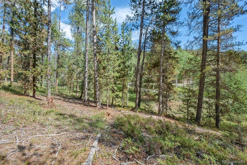 001 Lot 12 Indian Springs Rd, Conifer, CO 80433