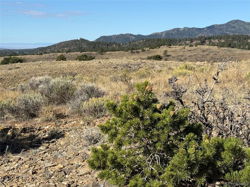 Lot 245 Boothby Ln Lot 245, Fort Garland, CO 81133