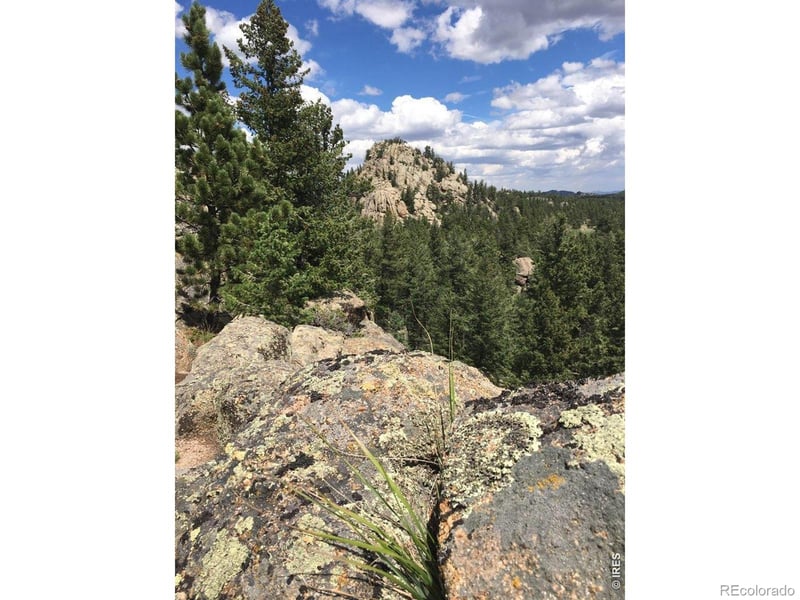 Wandering Ln, Red Feather Lakes, CO 80545