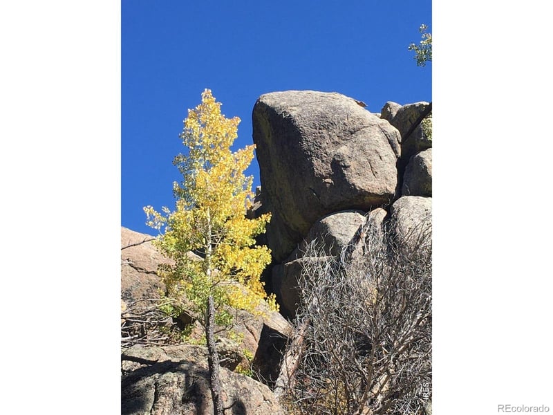 Wandering Ln, Red Feather Lakes, CO 80545