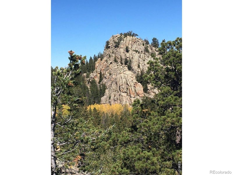 Wandering Ln, Red Feather Lakes, CO 80545