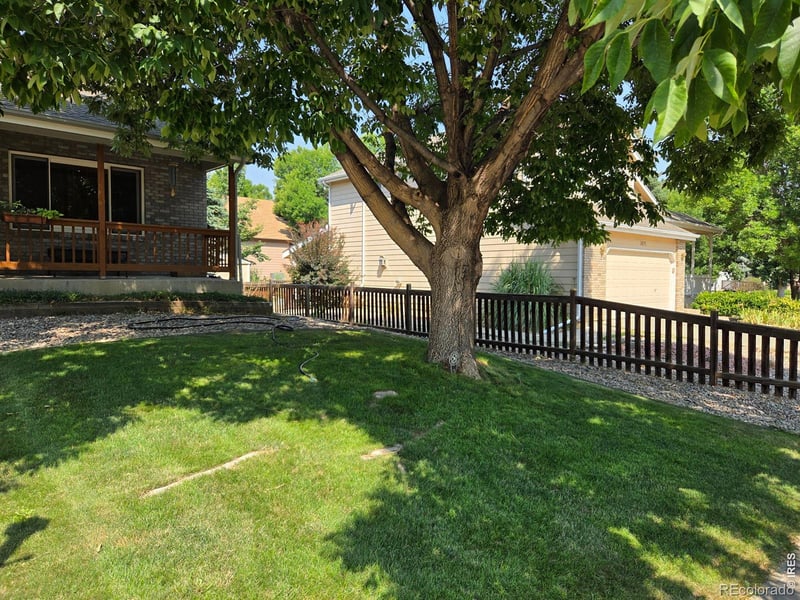 3637 Fillmore Ave, Loveland, CO 80538