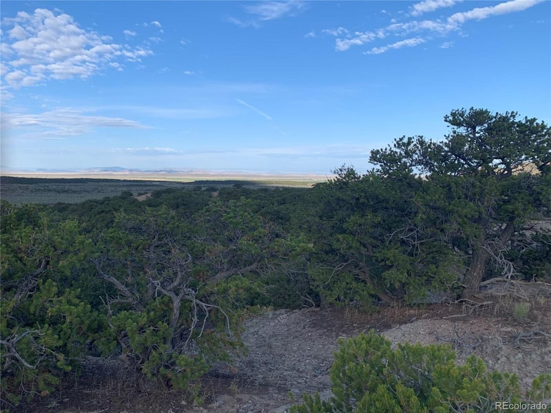 1719 Nogales Rd Lot 1719, Fort Garland, CO 81133