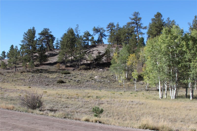 2721 Ranch Rd, Hartsel, CO 80449