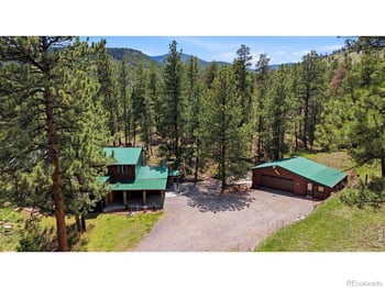 102 Insmont Dr, Bailey, CO 80421