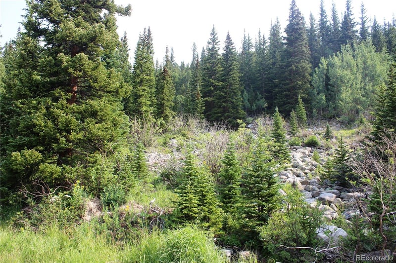 01 Miners Rd Lot 31, Idaho Springs, CO 80461