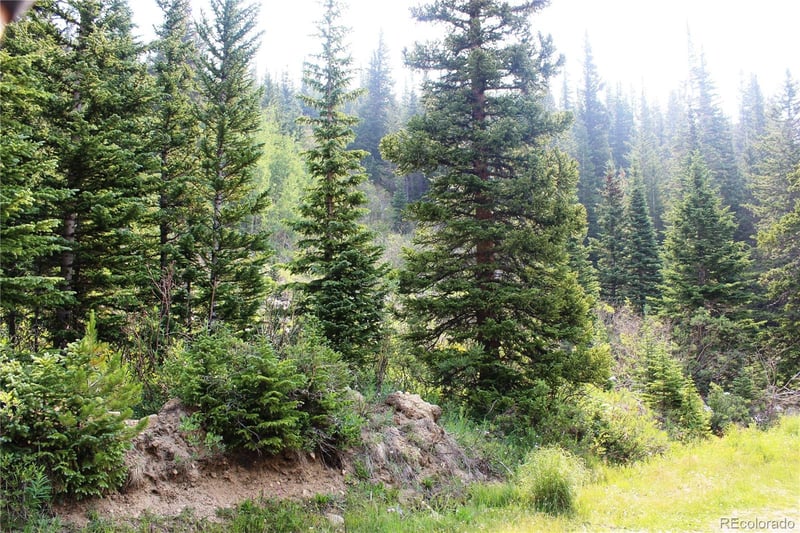 01 Miners Rd Lot 31, Idaho Springs, CO 80461