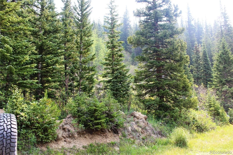 01 Miners Rd Lot 31, Idaho Springs, CO 80461