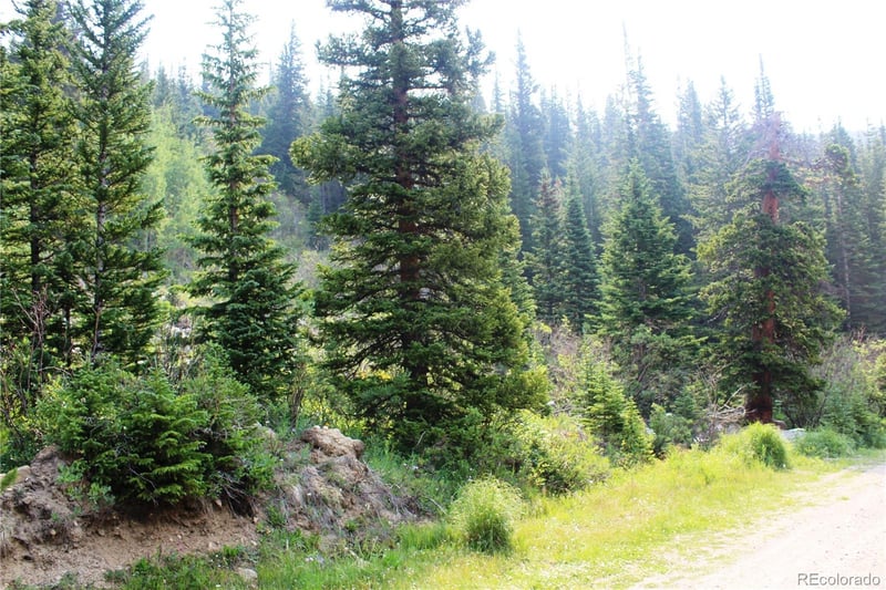 01 Miners Rd Lot 31, Idaho Springs, CO 80461
