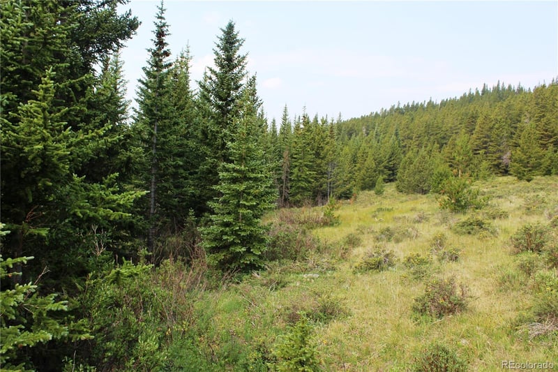 13620 Independence Lot 13620, Idaho Springs, CO 80461