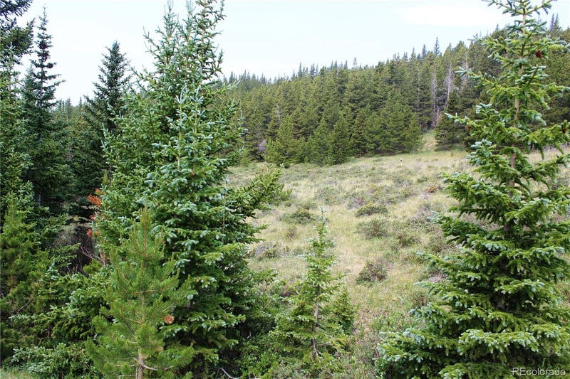 13620 Independence Lot 13620, Idaho Springs, CO 80461