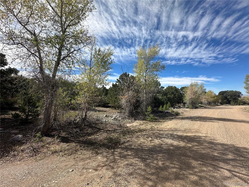 3795 - 3794 Virtue Way, Crestone, CO 81131