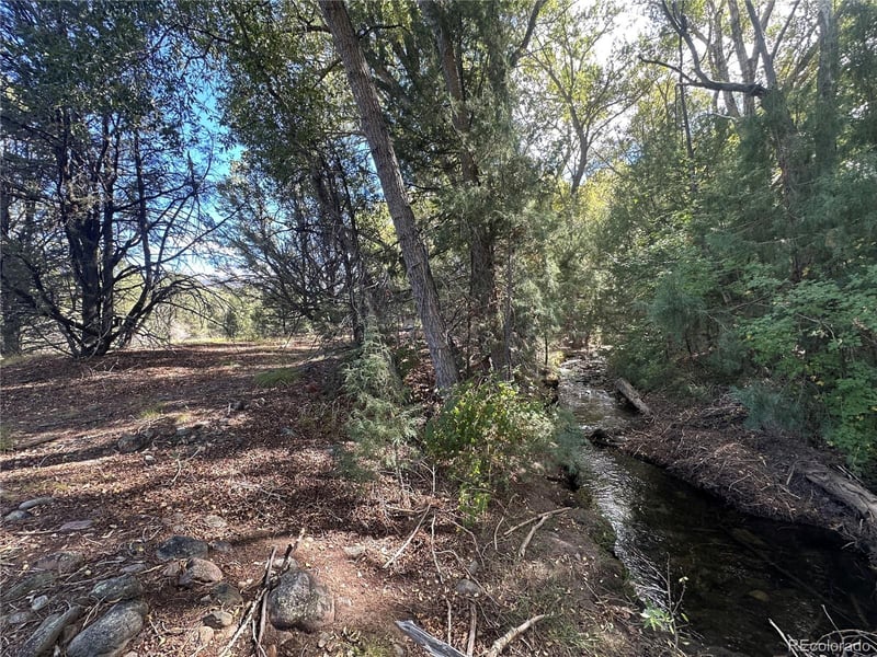 3795 Virtue Way, Crestone, CO 81131