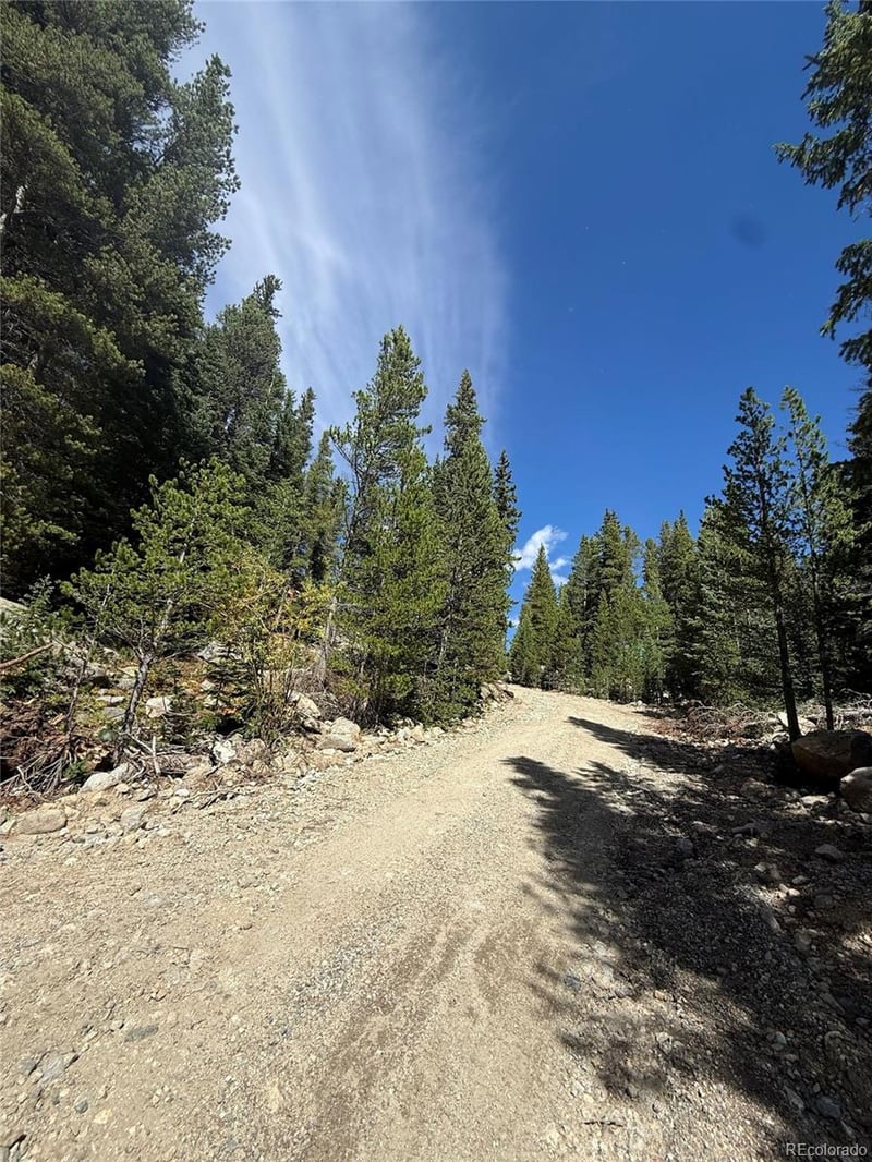 151 Lake Rd, Idaho Springs, CO 80452