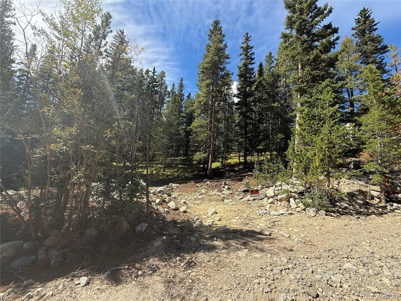 151 Lake Rd, Idaho Springs, CO 80452