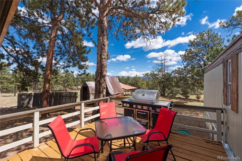 957 Arapahoe Dr, Florissant, CO 80816