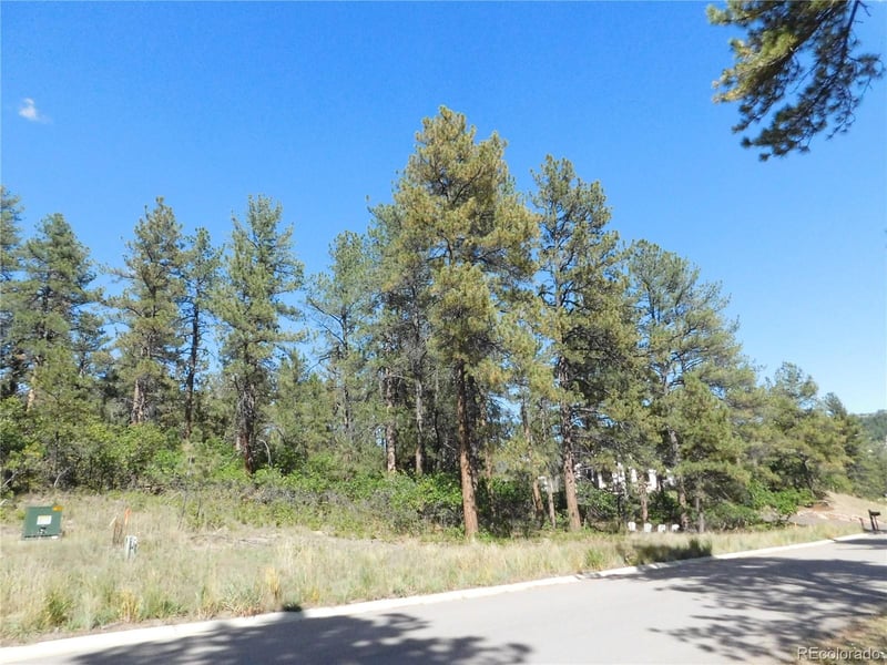 773 Copper Fox Pl, Larkspur, CO 80118