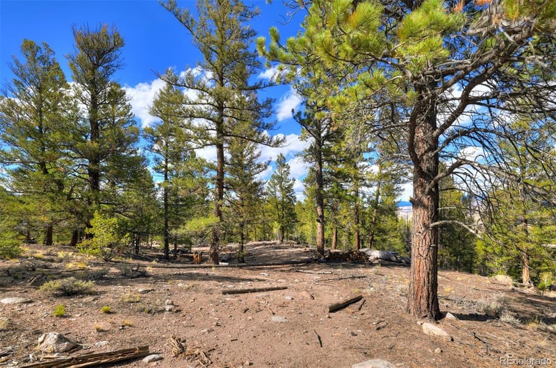 501 Reva Ridge Rd, Twin Lakes, CO 81251