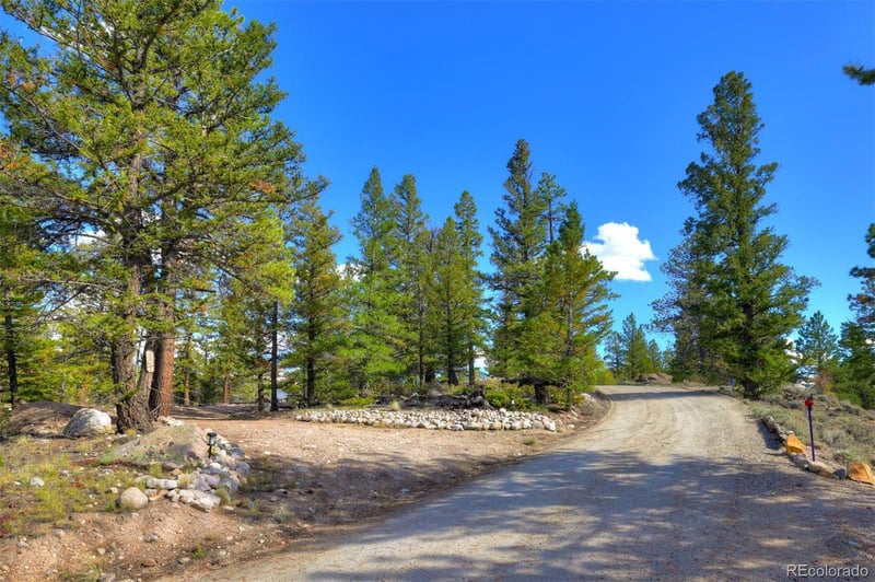501 Reva Ridge Rd, Twin Lakes, CO 81251