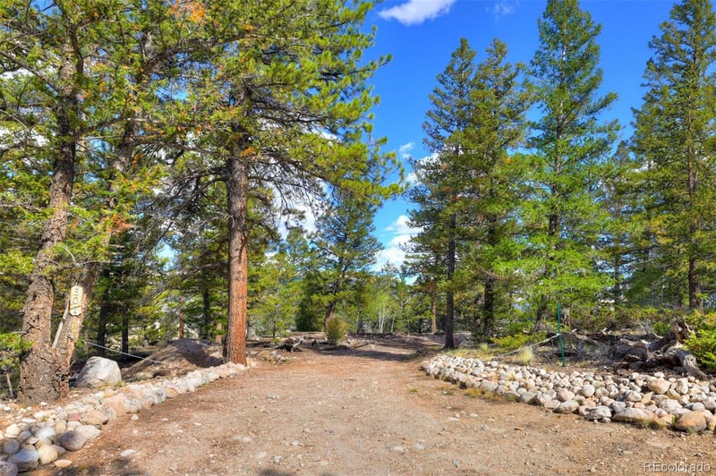 501 Reva Ridge Rd, Twin Lakes, CO 81251