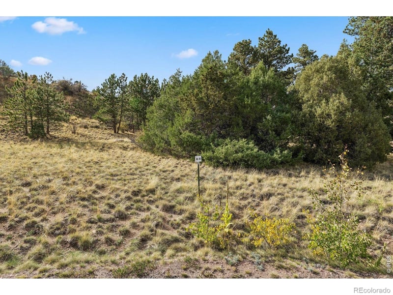 Tbd Juniper Ct, Red Feather Lakes, CO 80545