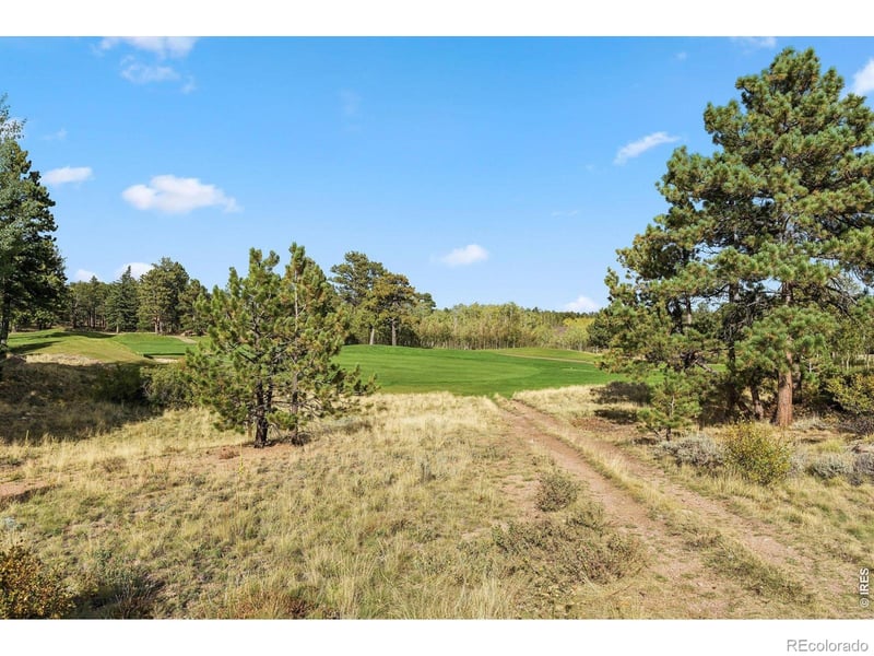 Tbd Juniper Ct, Red Feather Lakes, CO 80545