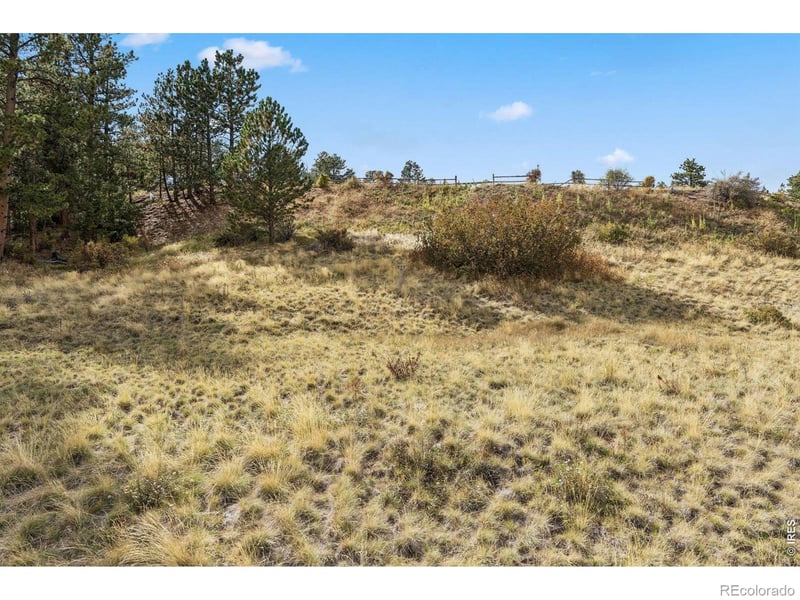 Tbd Juniper Ct, Red Feather Lakes, CO 80545
