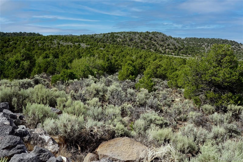 Lot 3 Melby Rancho, San Luis, CO 81152