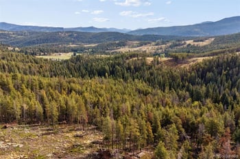 8570 S Warhawk Rd, Conifer, CO 80433