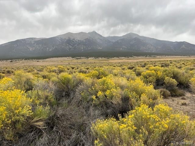 34643 Spruce Ave, Blanca, CO 81123