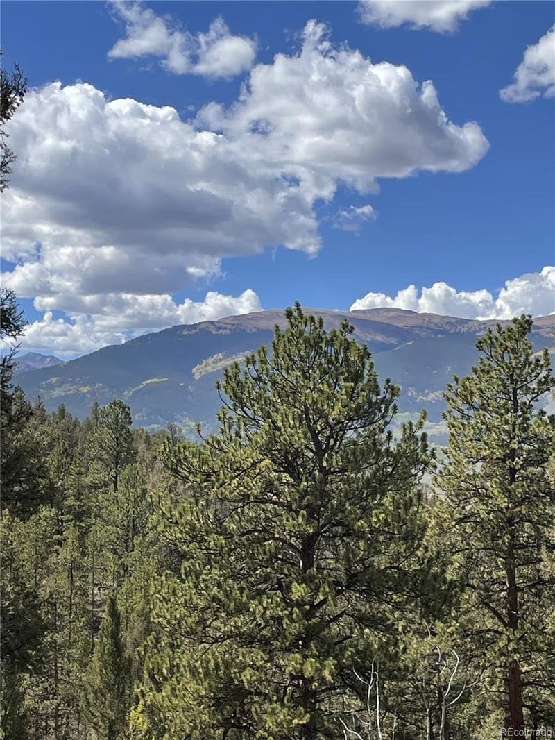 000 County Road 396, Granite, CO 81228