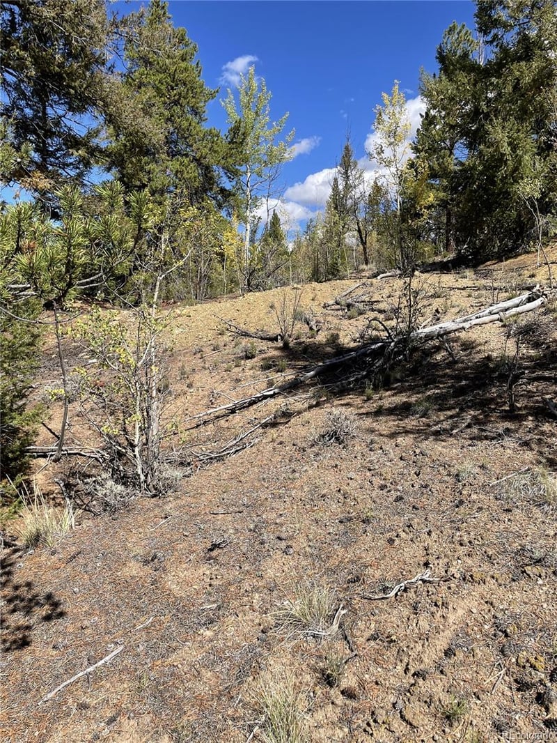 000 County Road 396, Granite, CO 81228