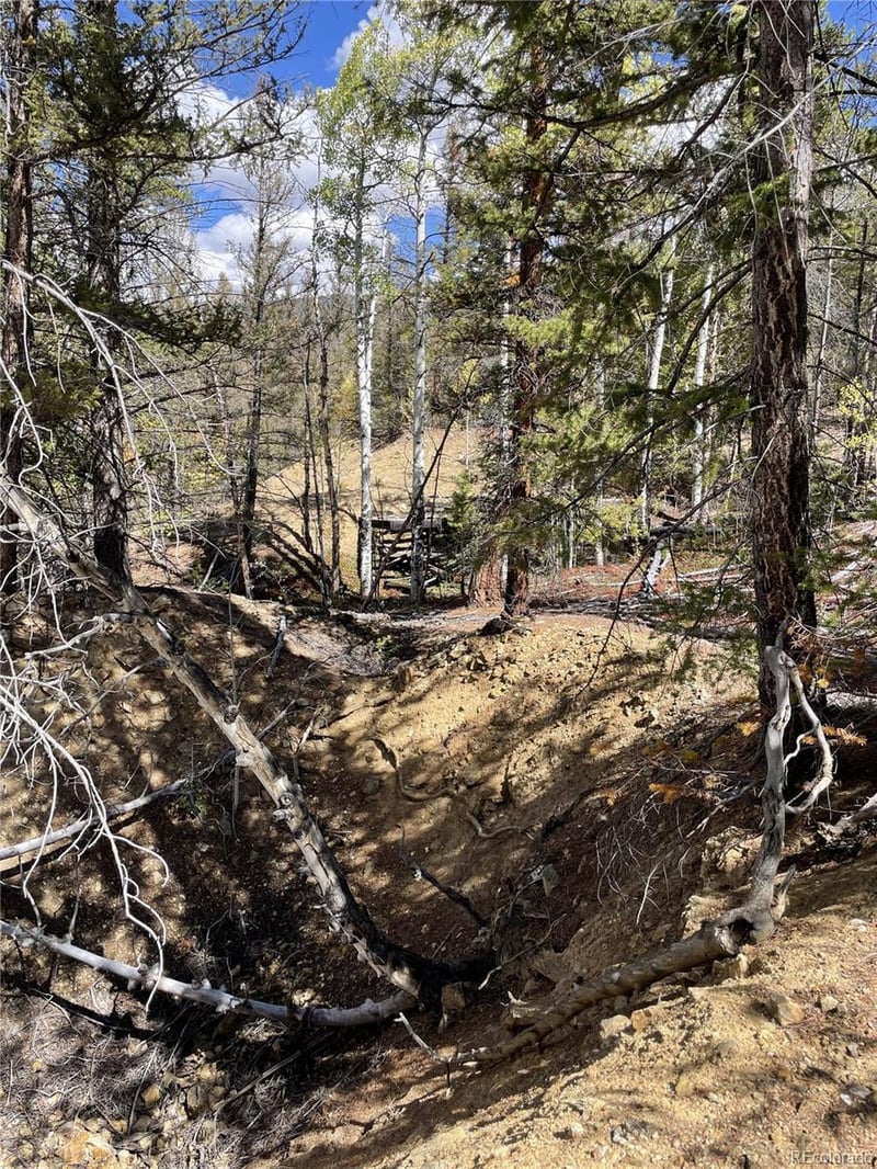 000 County Road 396, Granite, CO 81228