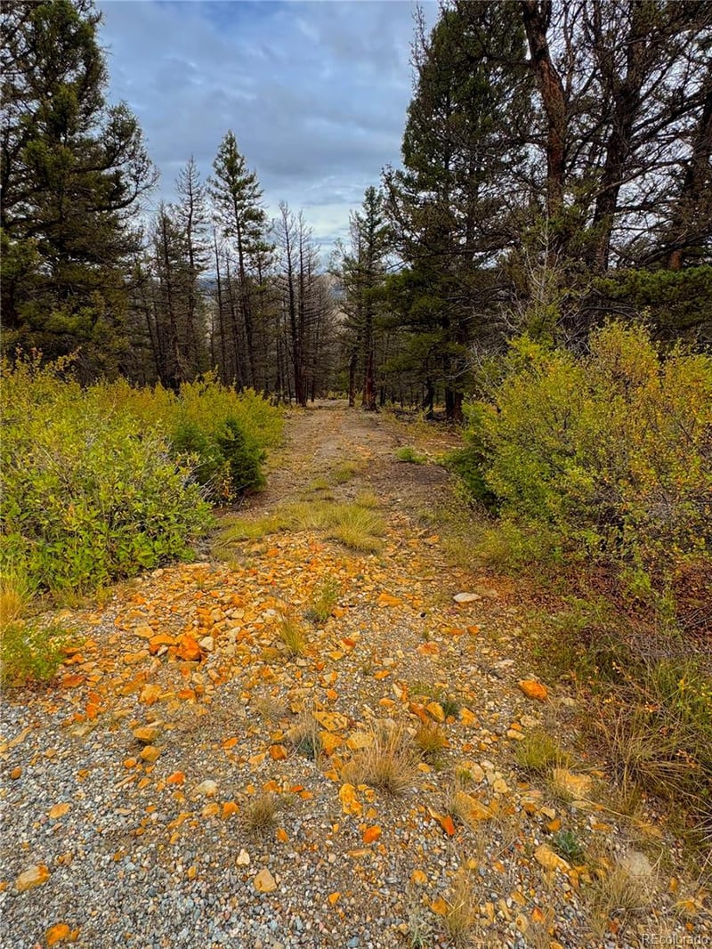 000 Middlefork Vi Lot 237, Fairplay, CO 80440
