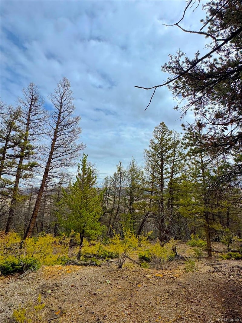 000 Middlefork Vi Lot 237, Fairplay, CO 80440