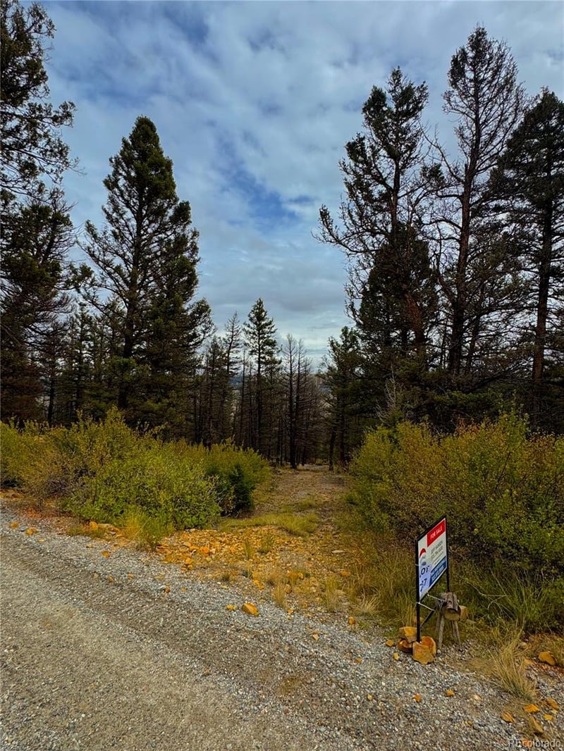 000 Middlefork Vi Lot 237, Fairplay, CO 80440