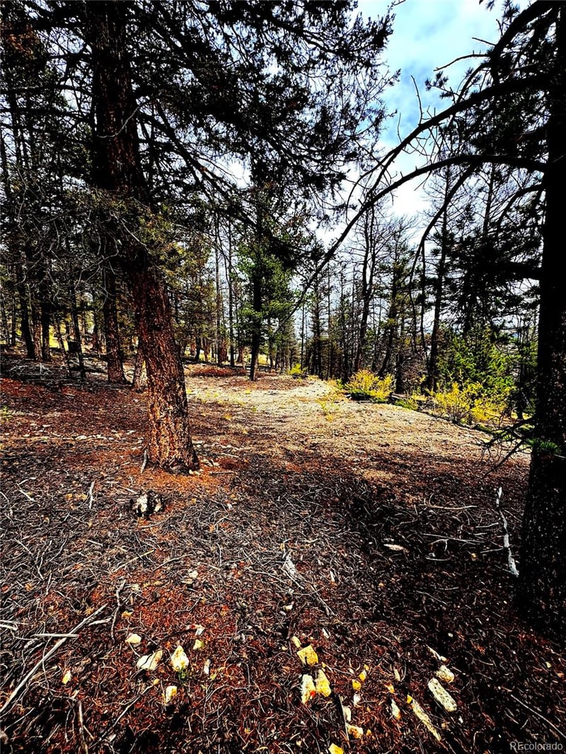 000 Middlefork Vi Lot 237, Fairplay, CO 80440