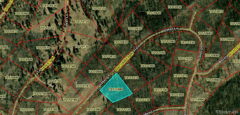 LOT 1195 Laker Lot 1195, Fort Garland, CO 81133