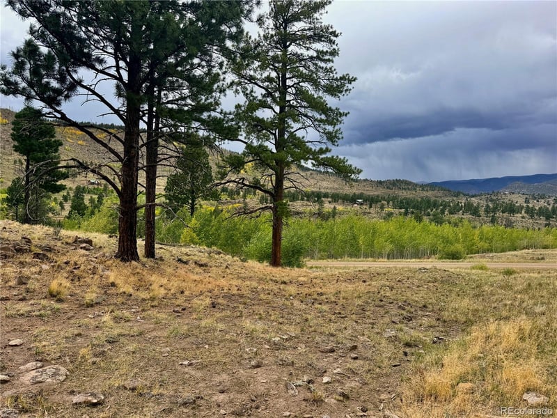 94 Rock Ridge Ct, South Fork, CO 81154