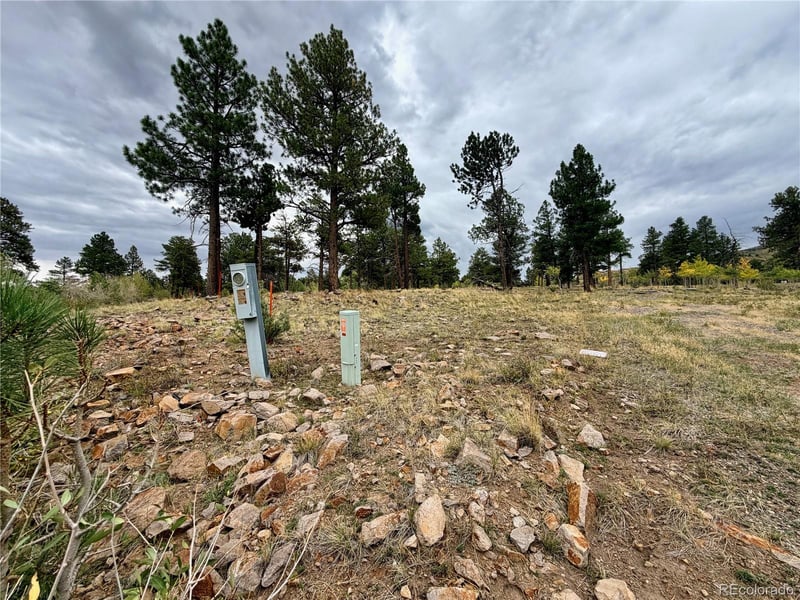 94 Rock Ridge Ct, South Fork, CO 81154