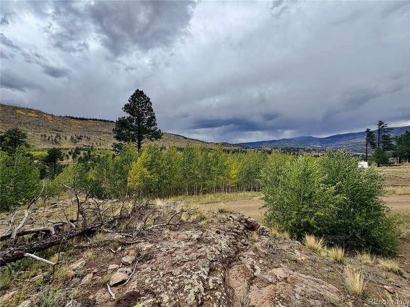 94 Rock Ridge Ct, South Fork, CO 81154