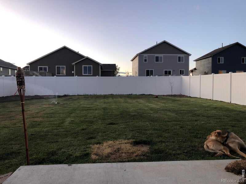 1832 Ruddlesway Dr, Windsor, CO 80550