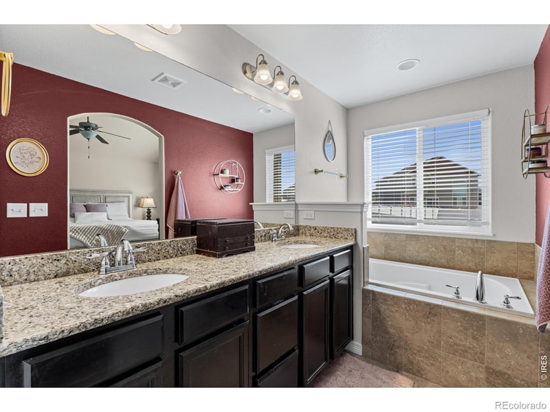 496 Gannet Peak Dr, Windsor, CO 80550